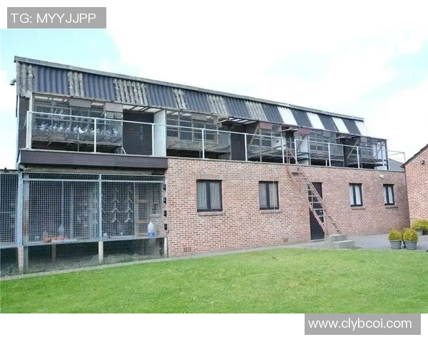 秘鲁与丹麦激战正酣赛事结果揭晓引发热议