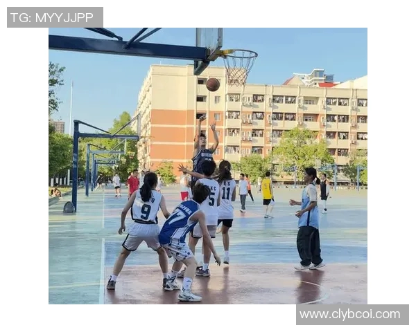 沈梓捷：从青年才俊到篮球赛场的璀璨明星之路与未来展望