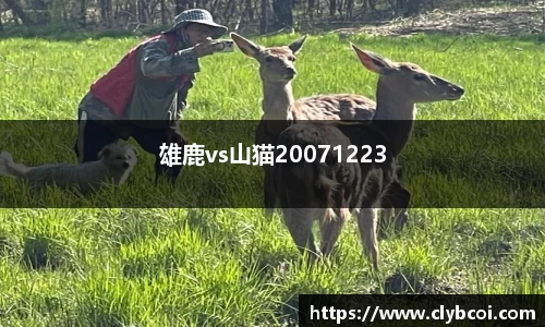 雄鹿vs山猫20071223